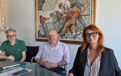 Distretto Tecnologico Regionale Marmo e Pietre Ornamentali