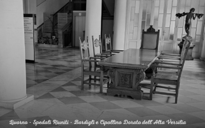 Cartoline da Livorno